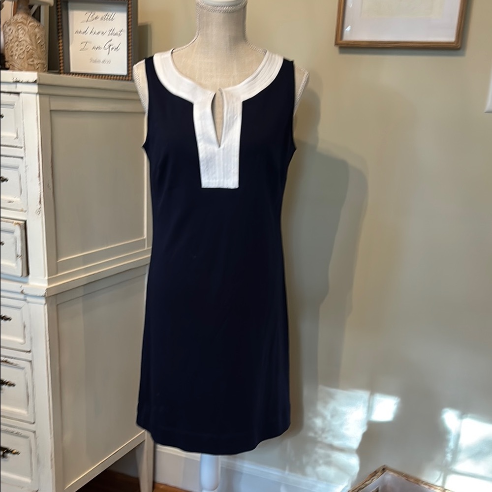 Navy and White Sleeveless Dress